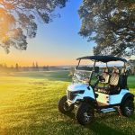 Гольф-кар пассажирский TRAVELPARK 2-х местные