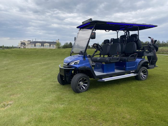 Гольф-кар пассажирский TRAVELPARK 4+2 (6-х местные) СИНИЙ — изображение 5