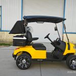 Гольф-кар пассажирский 2-х местные «TRAVELPARK 2» Желтый